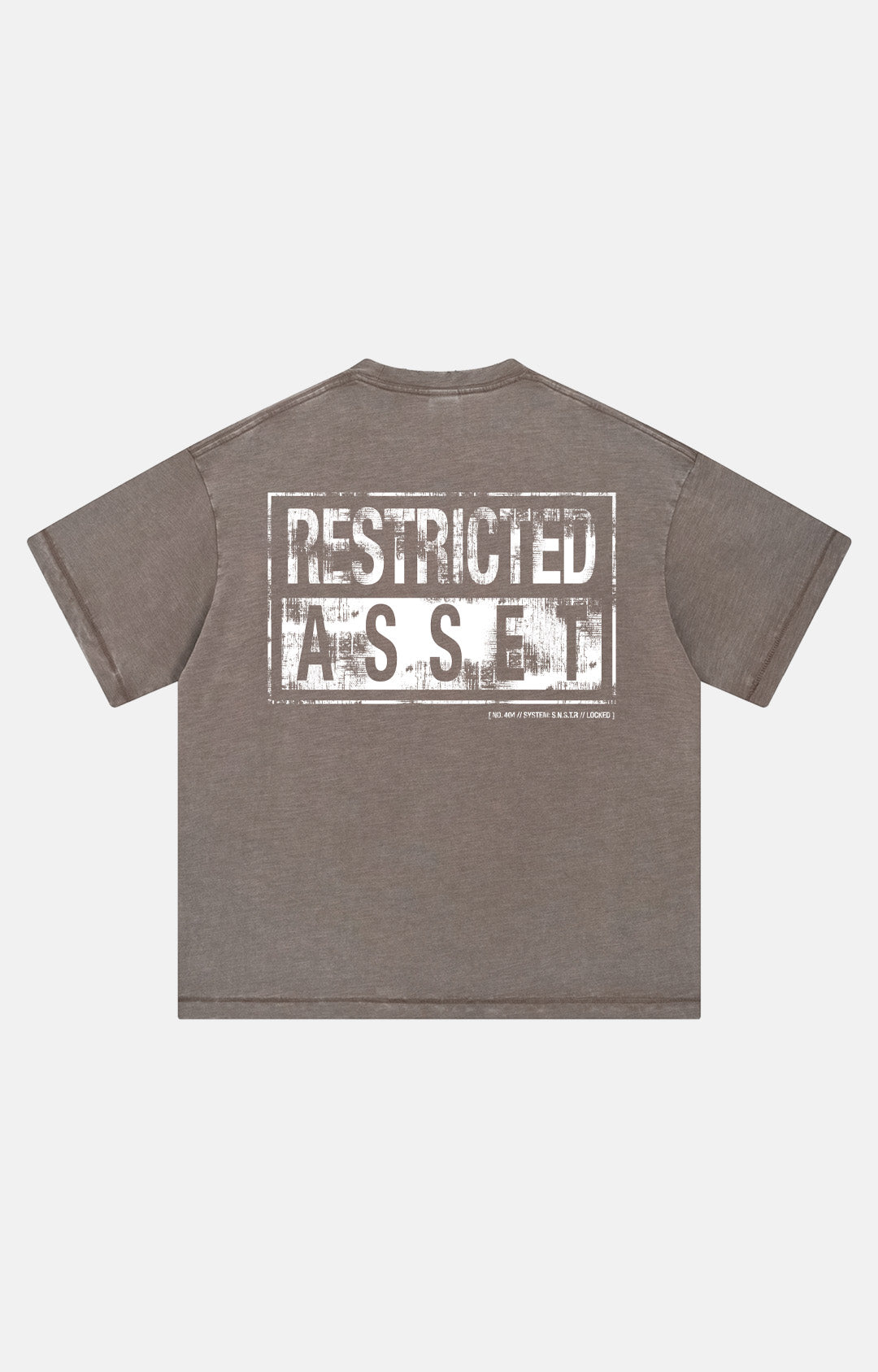 Restricted Asset
