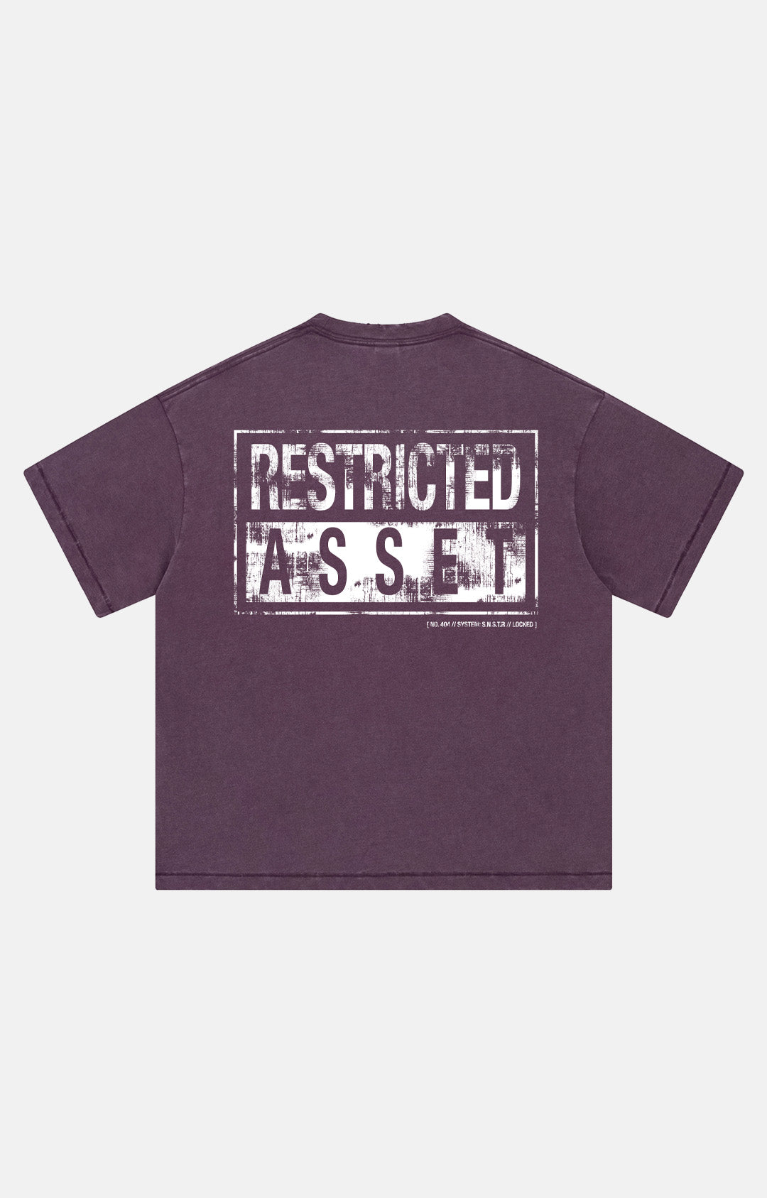 Restricted Asset
