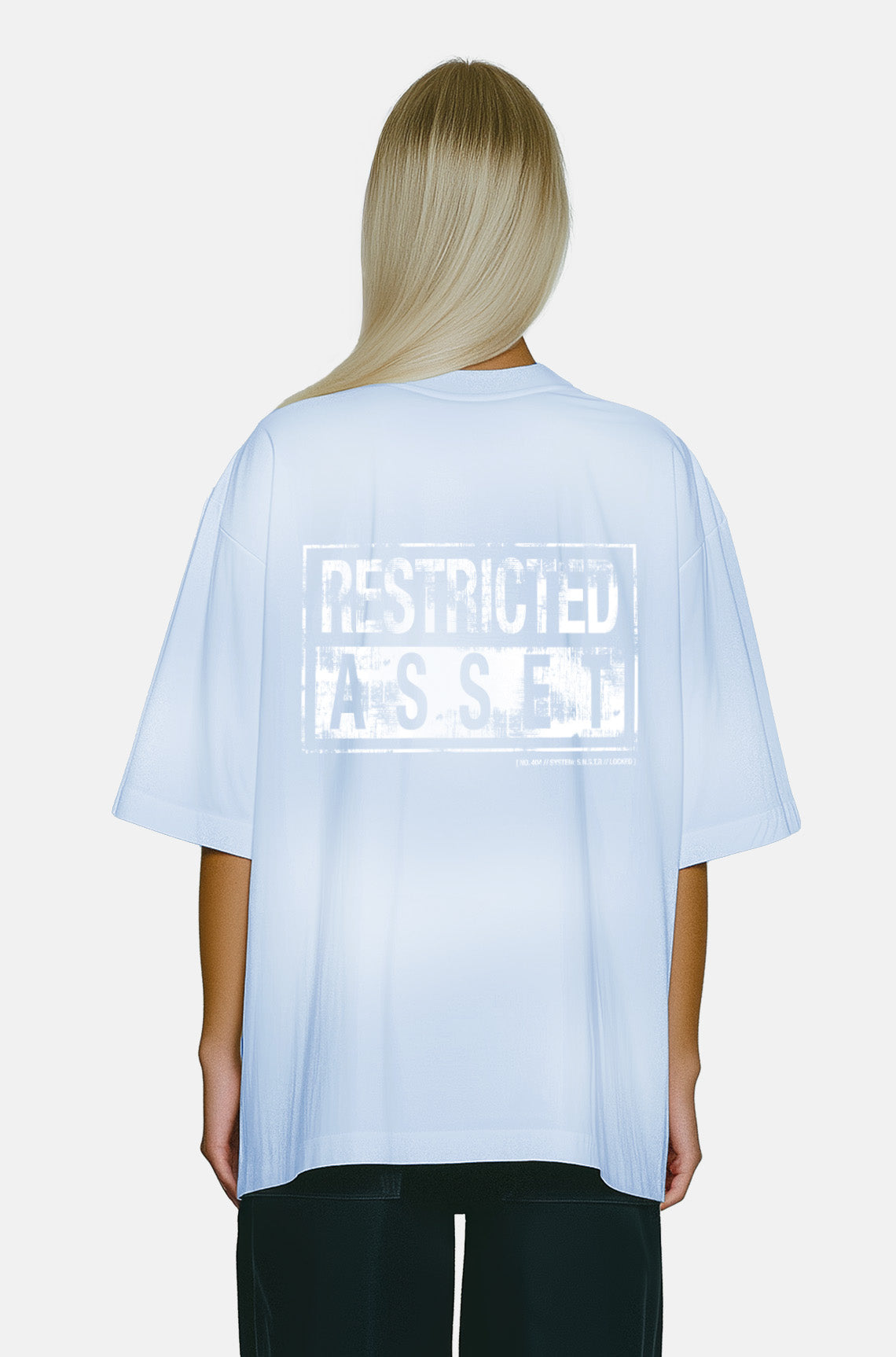 Restricted Asset