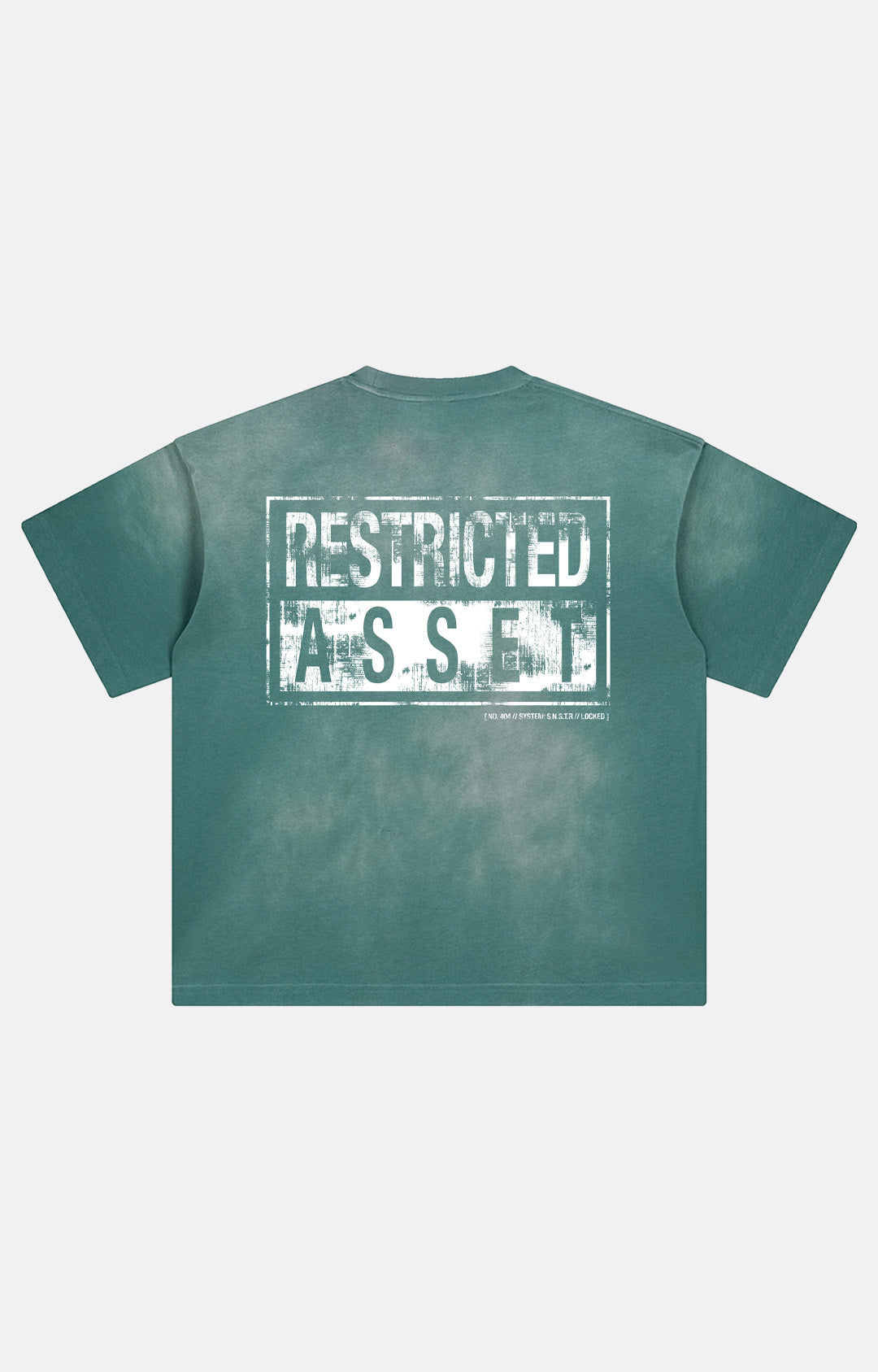 Restricted Asset
