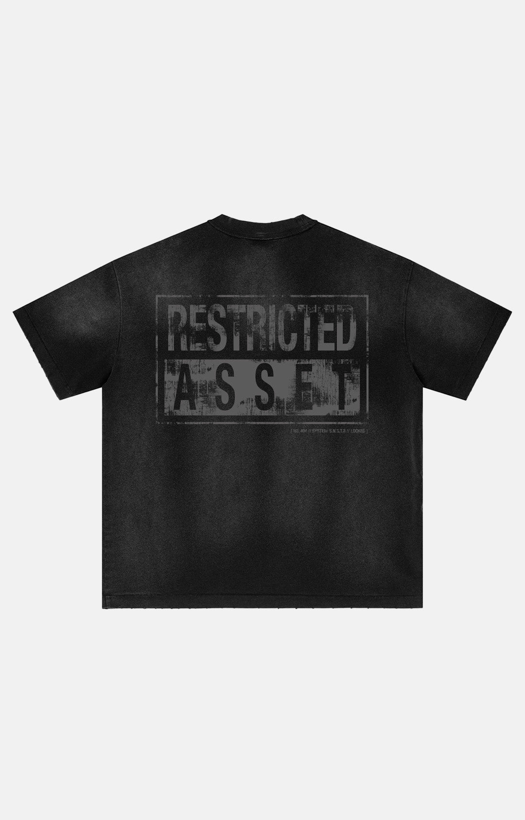 Restricted Asset