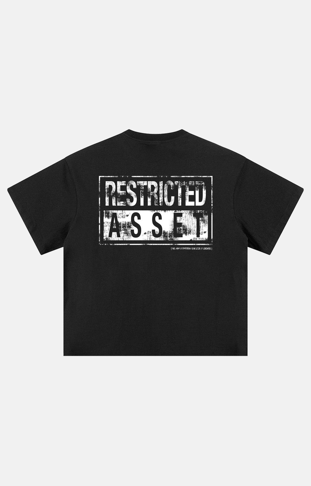 Restricted Asset