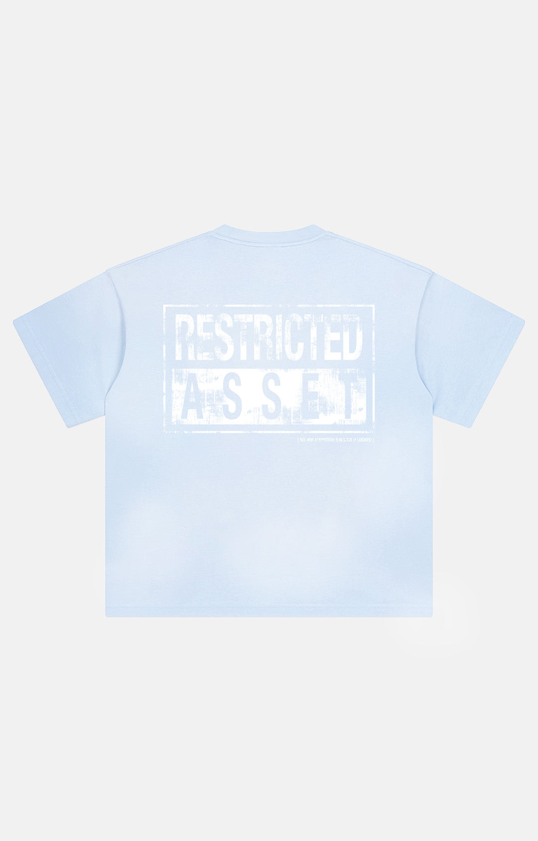 Restricted Asset