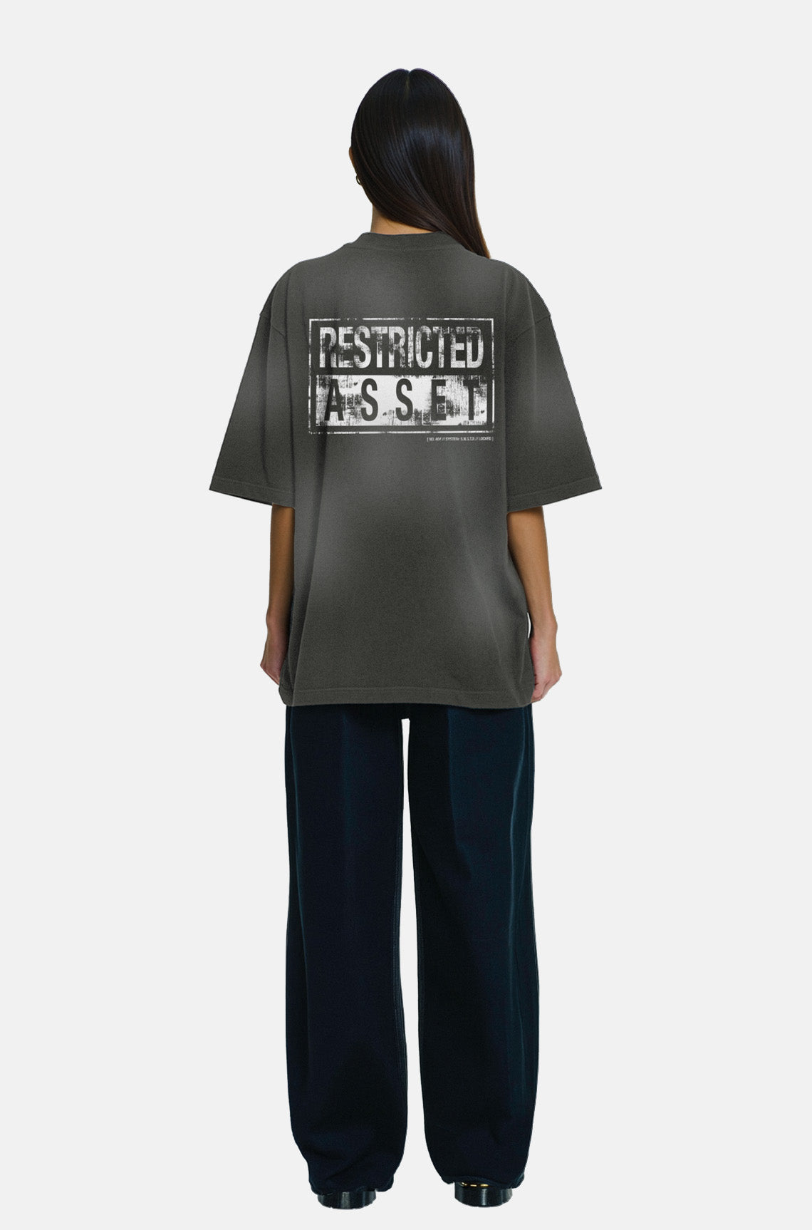 Restricted Asset