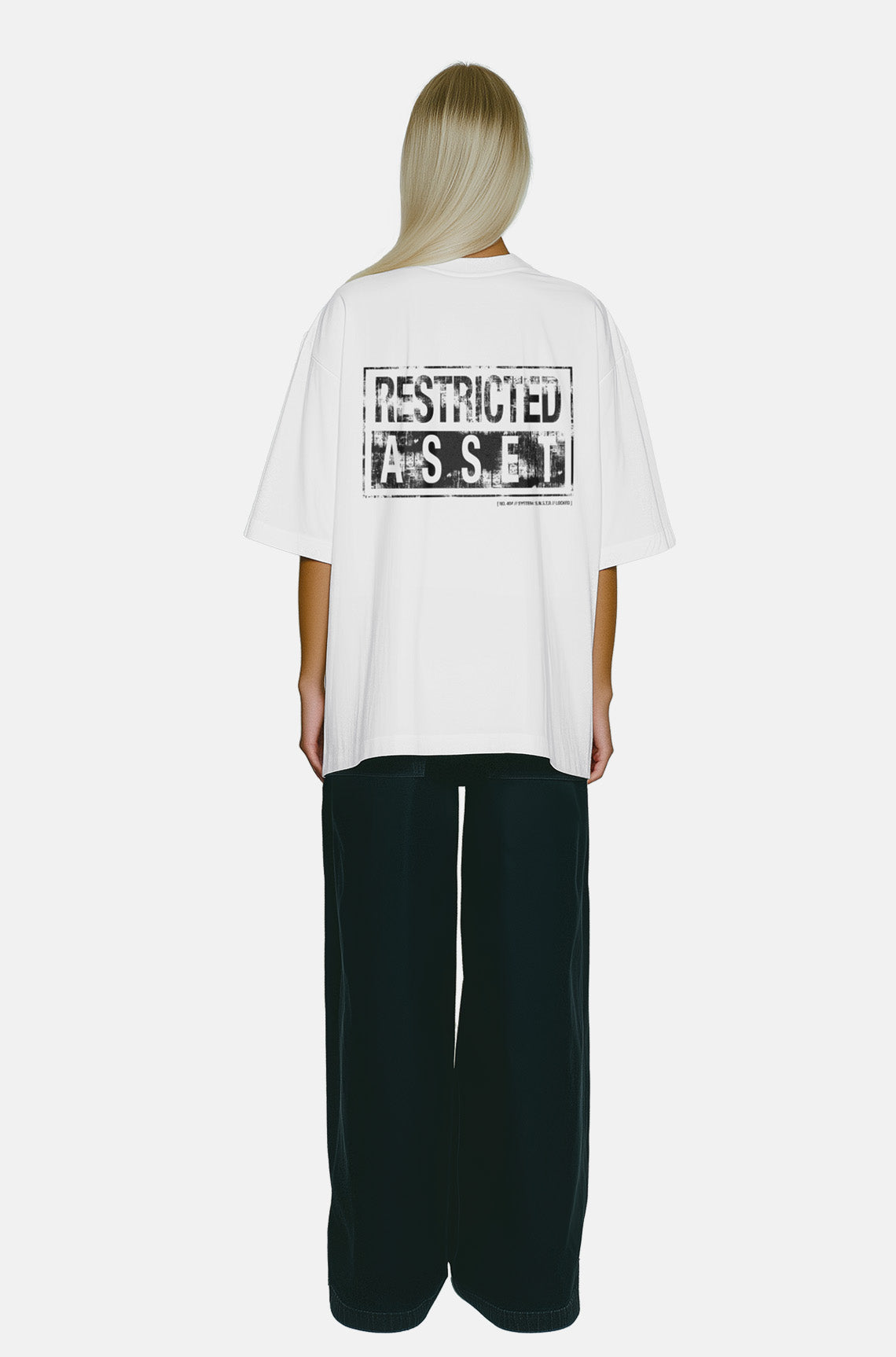 Restricted Asset