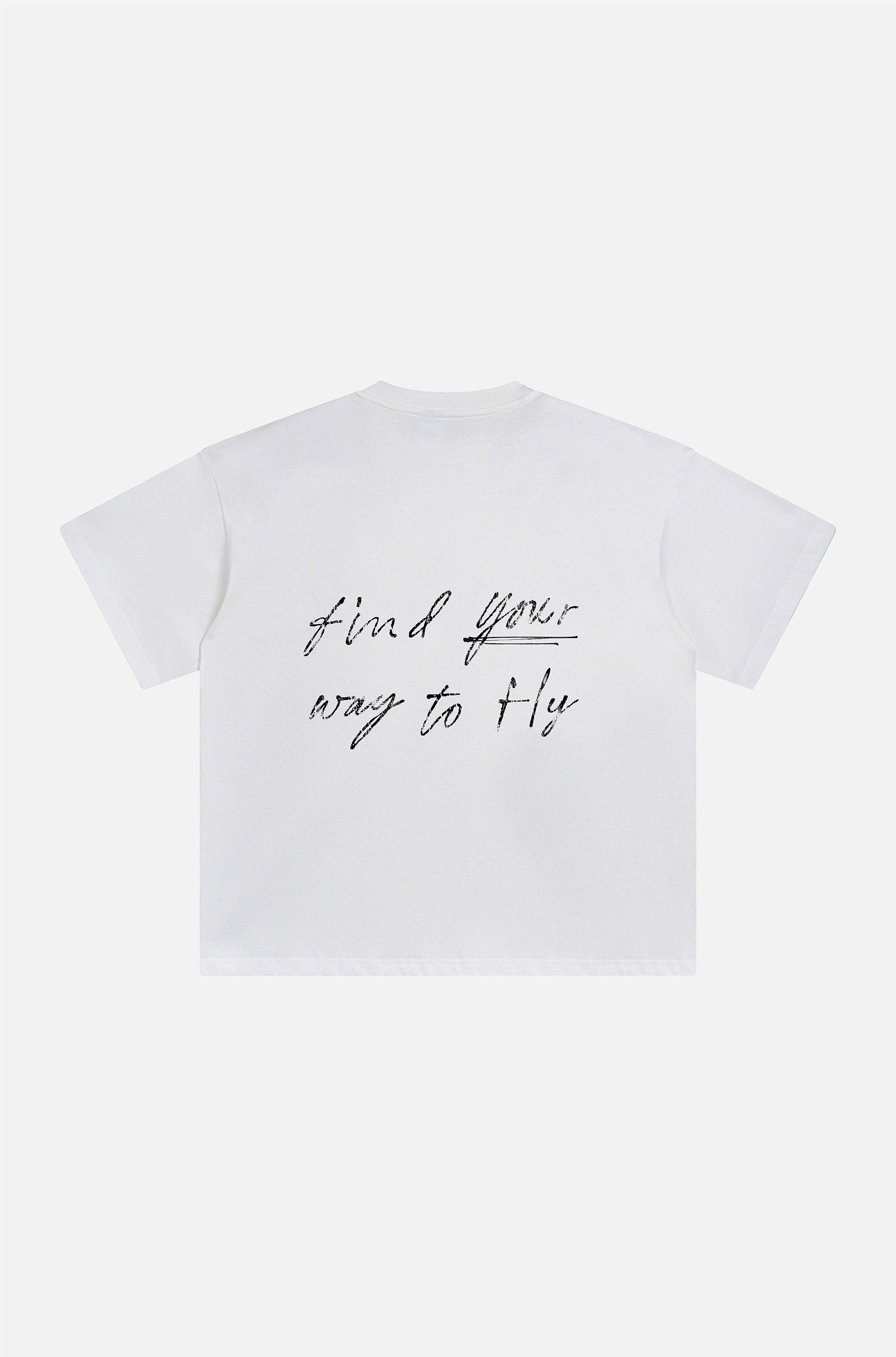 FLY